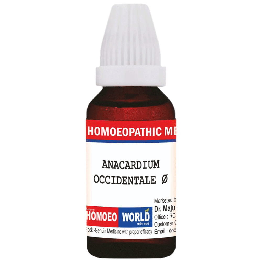 Dr. Majumder Homeo World Anacardium Occidentale Q (30ml Each) box of 1 Bottle