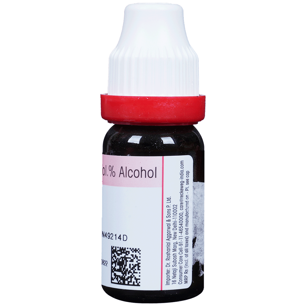 Dr. Reckeweg Ipecacuanha Dilution 30 CH bottle of 11 ml Dilution Dr. Reckeweg Ipecacuanha Dilution 30 CH bottle of 11 ml Dilution
