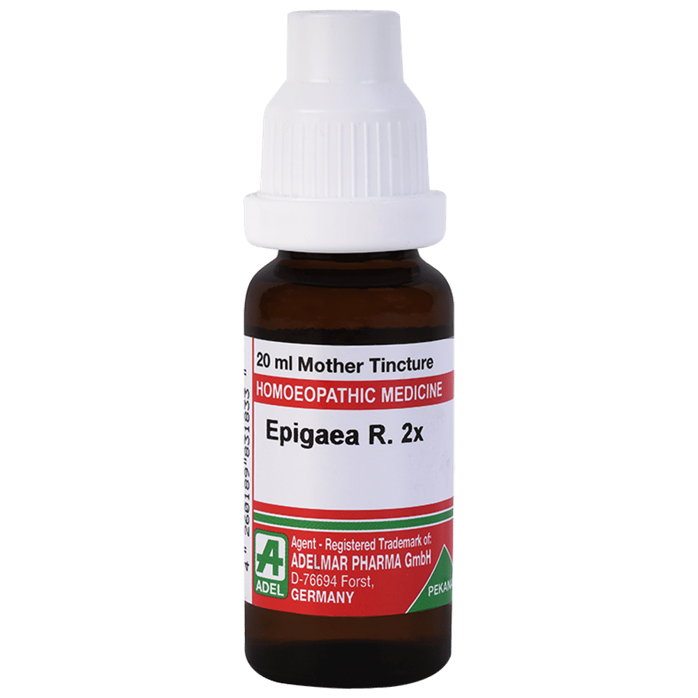 ADEL Epigaea R. Mother Tincture 2X bottle of 20 ml Mother Tincture
