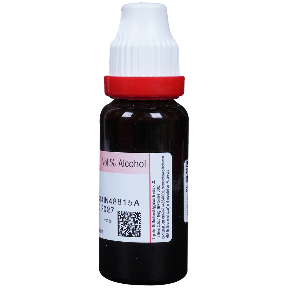 Dr. Reckeweg Pothos Foetida Mother Tincture Q bottle of 20 ml Mother Tincture Dr. Reckeweg Pothos Foetida Mother Tincture Q bottle of 20 ml Mother Tincture