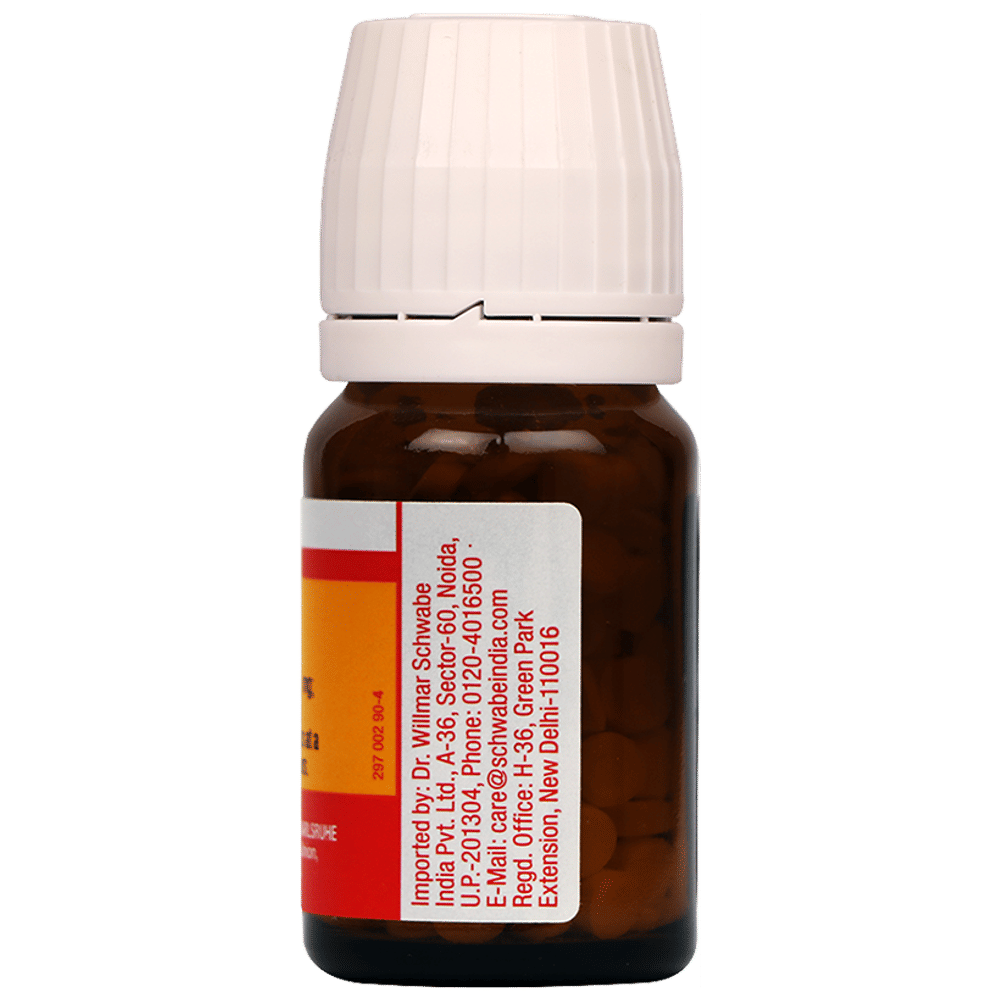 Dr Willmar Schwabe Germany Bio-Plasgen 20 Tablet bottle of 20 gm Tablet