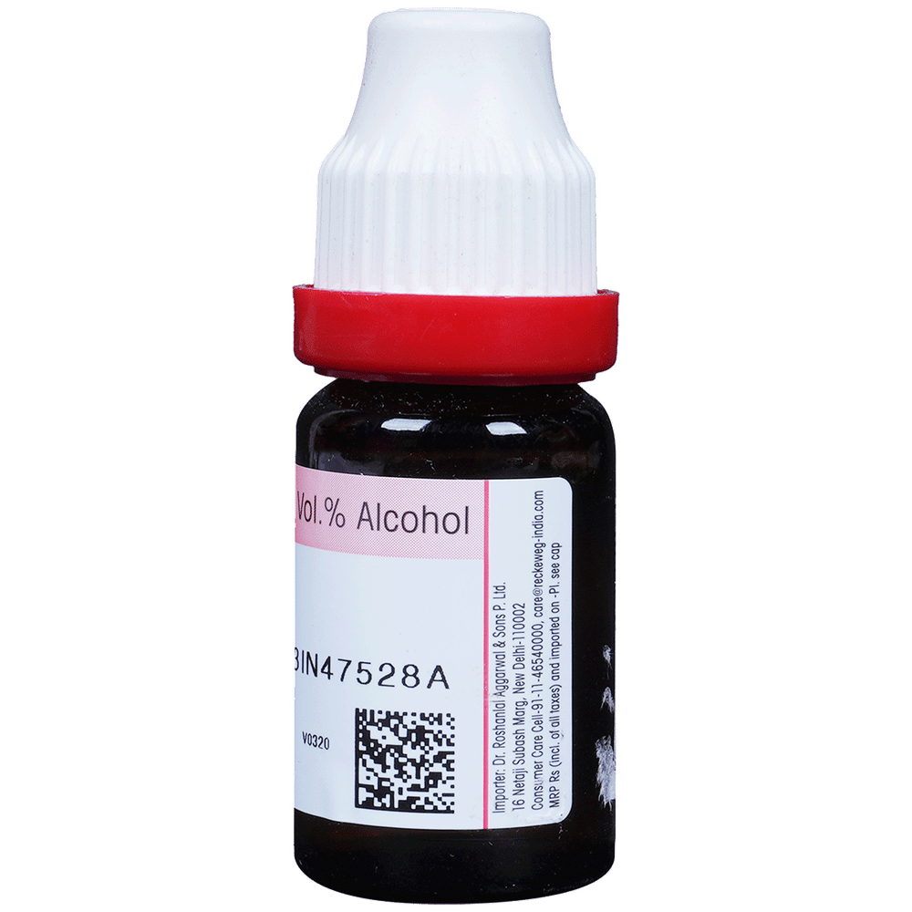 Dr. Reckeweg Arsenicum Album 30 Dilution bottle of 11 ml Dilution Dr. Reckeweg Arsenicum Album 30 Dilution bottle of 11 ml Dilution