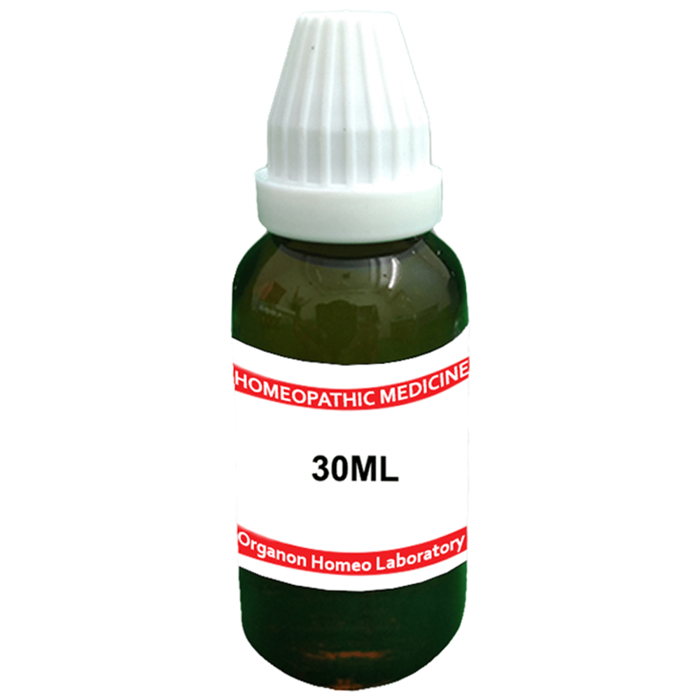 Organon Pulsatilla Dilution 1M bottle of 30 ml Dilution