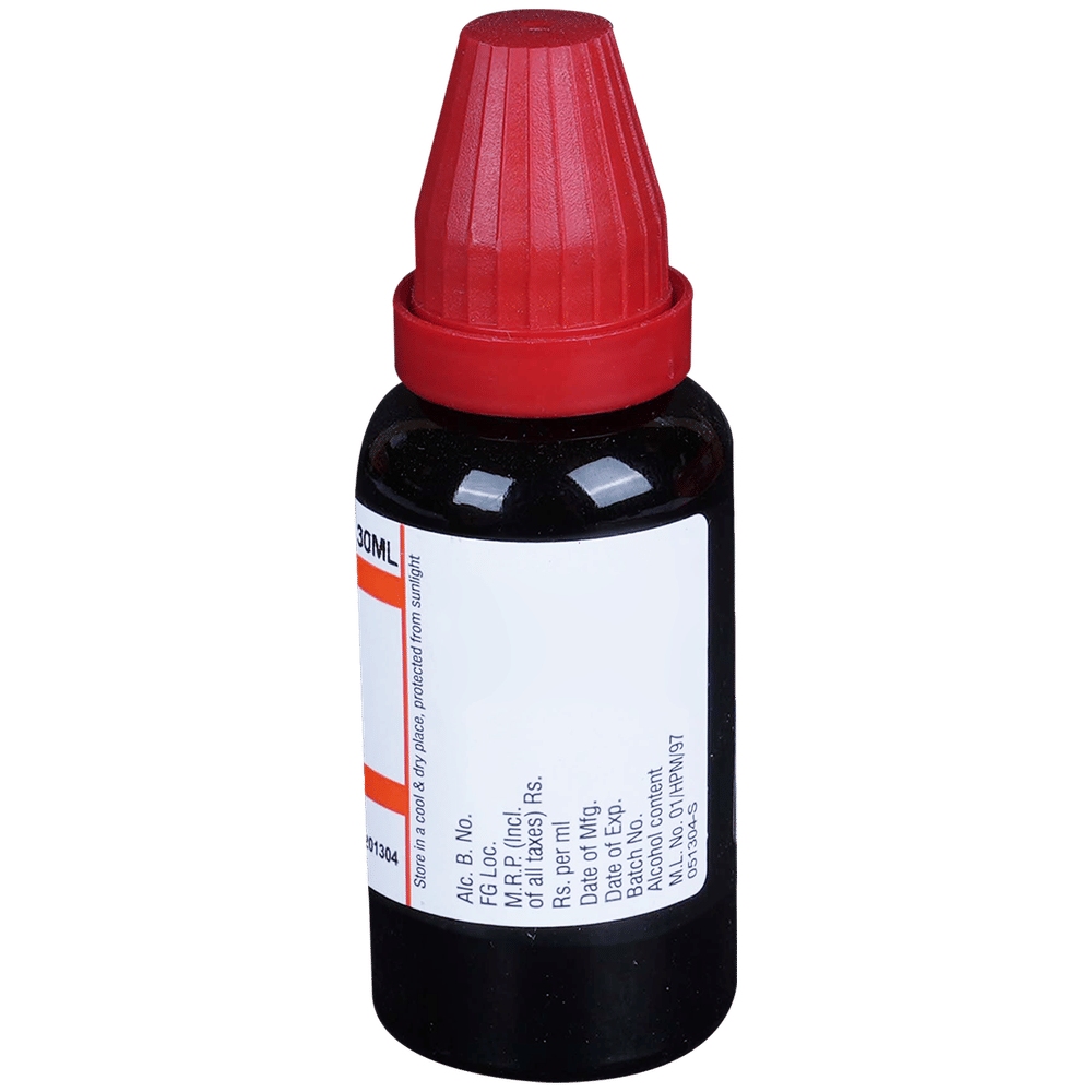 Dr Willmar Schwabe India Leptandra Mother Tincture Q bottle of 30 ml Mother Tincture Dr Willmar Schwabe India Leptandra Mother Tincture Q bottle of 30 ml Mother Tincture