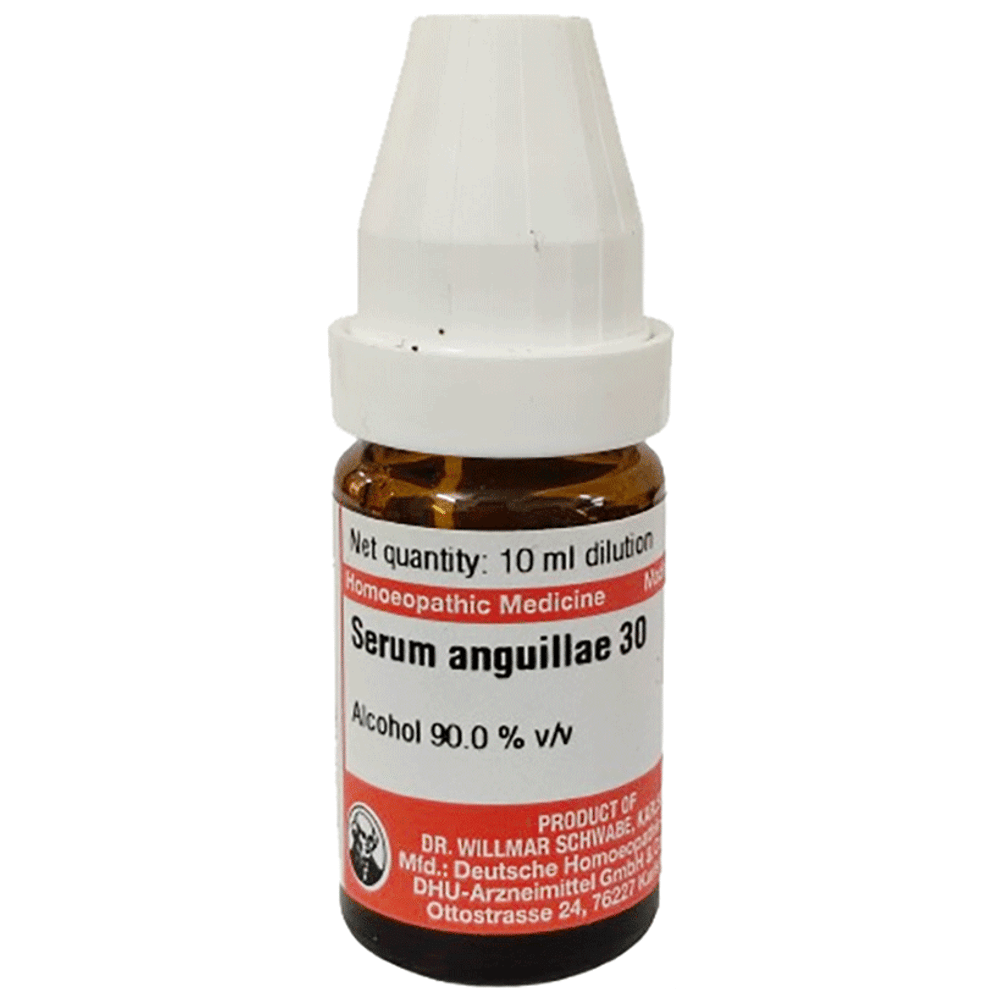 Dr Willmar Schwabe Germany Serum Anguillae Dilution 30 bottle of 10 ml Dilution