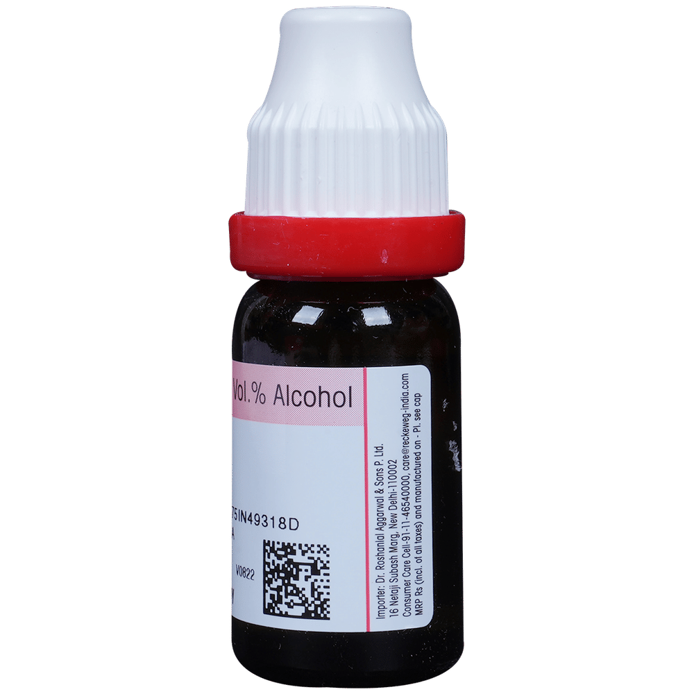 Dr. Reckeweg Belladonna Dilution 200 CH bottle of 11 ml Dilution Dr. Reckeweg Belladonna Dilution 200 CH bottle of 11 ml Dilution