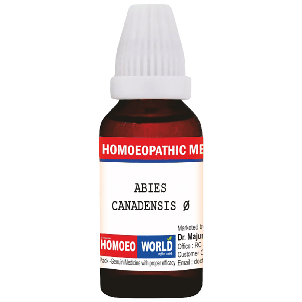 Dr. Majumder Homeo World Abies Canadensis Q Mother Tincture bottle of 120 ml Mother Tincture
