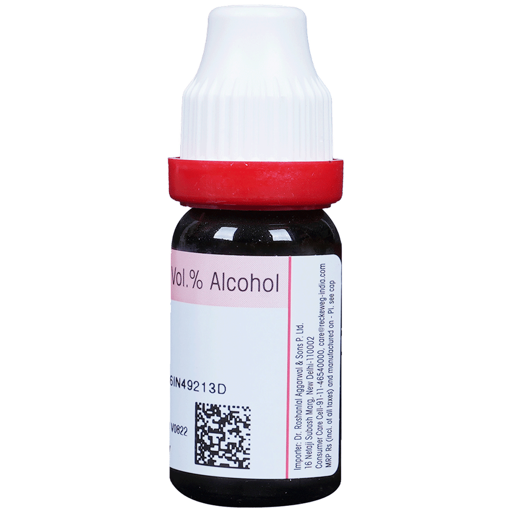 Dr. Reckeweg Arnica Mont Dilution 30 CH bottle of 11 ml Dilution Dr. Reckeweg Arnica Mont Dilution 30 CH bottle of 11 ml Dilution