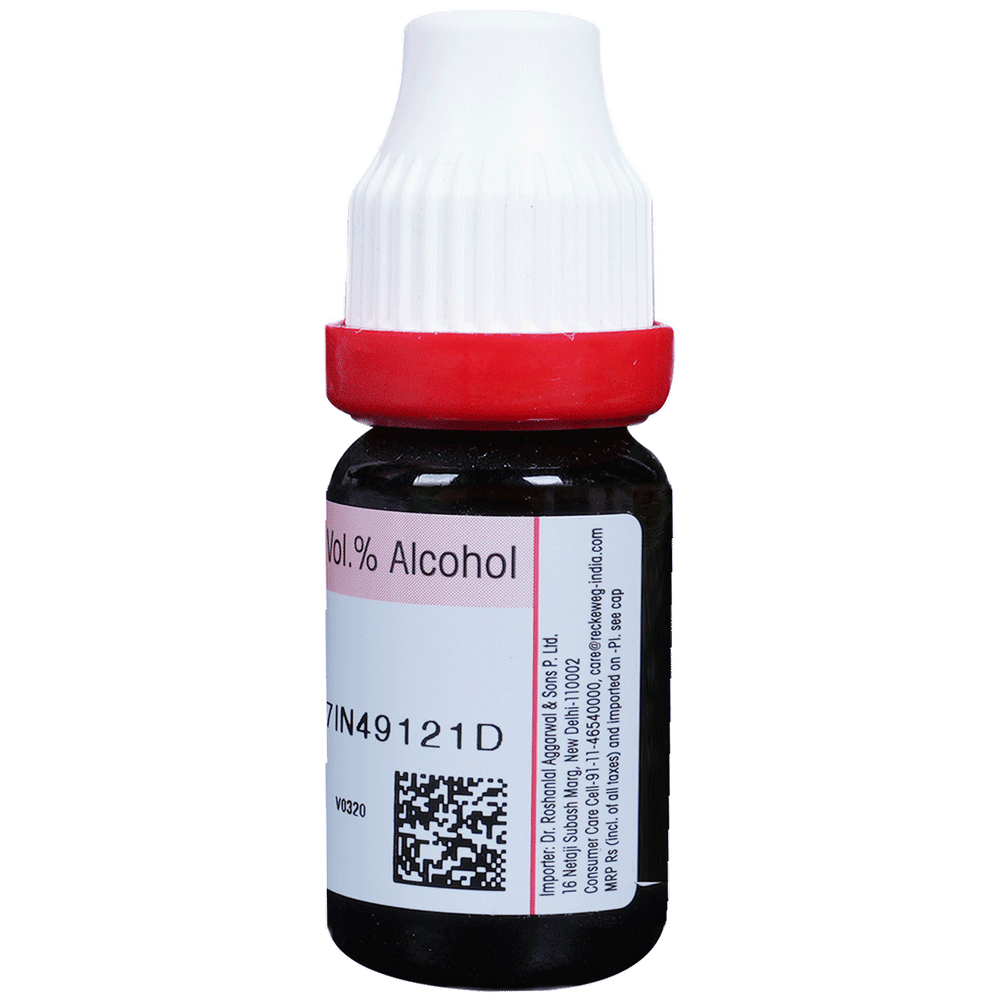Dr. Reckeweg Belladonna Dilution 30 CH bottle of 11 ml Dilution Dr. Reckeweg Belladonna Dilution 30 CH bottle of 11 ml Dilution