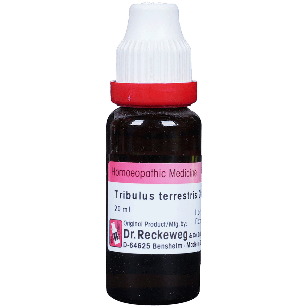 Dr. Reckeweg Tribulus Terr Mother Tincture Q bottle of 20 ml Mother Tincture