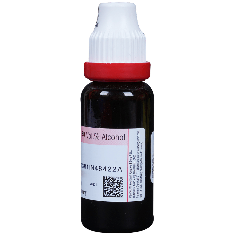 Dr. Reckeweg Alfalfa Mother Tincture Q bottle of 20 ml Mother Tincture Dr. Reckeweg Alfalfa Mother Tincture Q bottle of 20 ml Mother Tincture