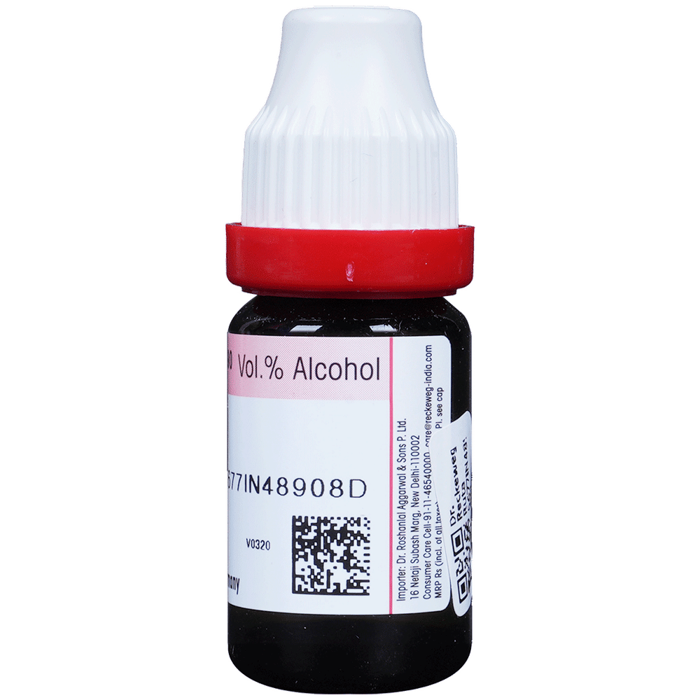 Dr. Reckeweg Ruta Graveolens Dilution 30 CH bottle of 11 ml Dilution Dr. Reckeweg Ruta Graveolens Dilution 30 CH bottle of 11 ml Dilution