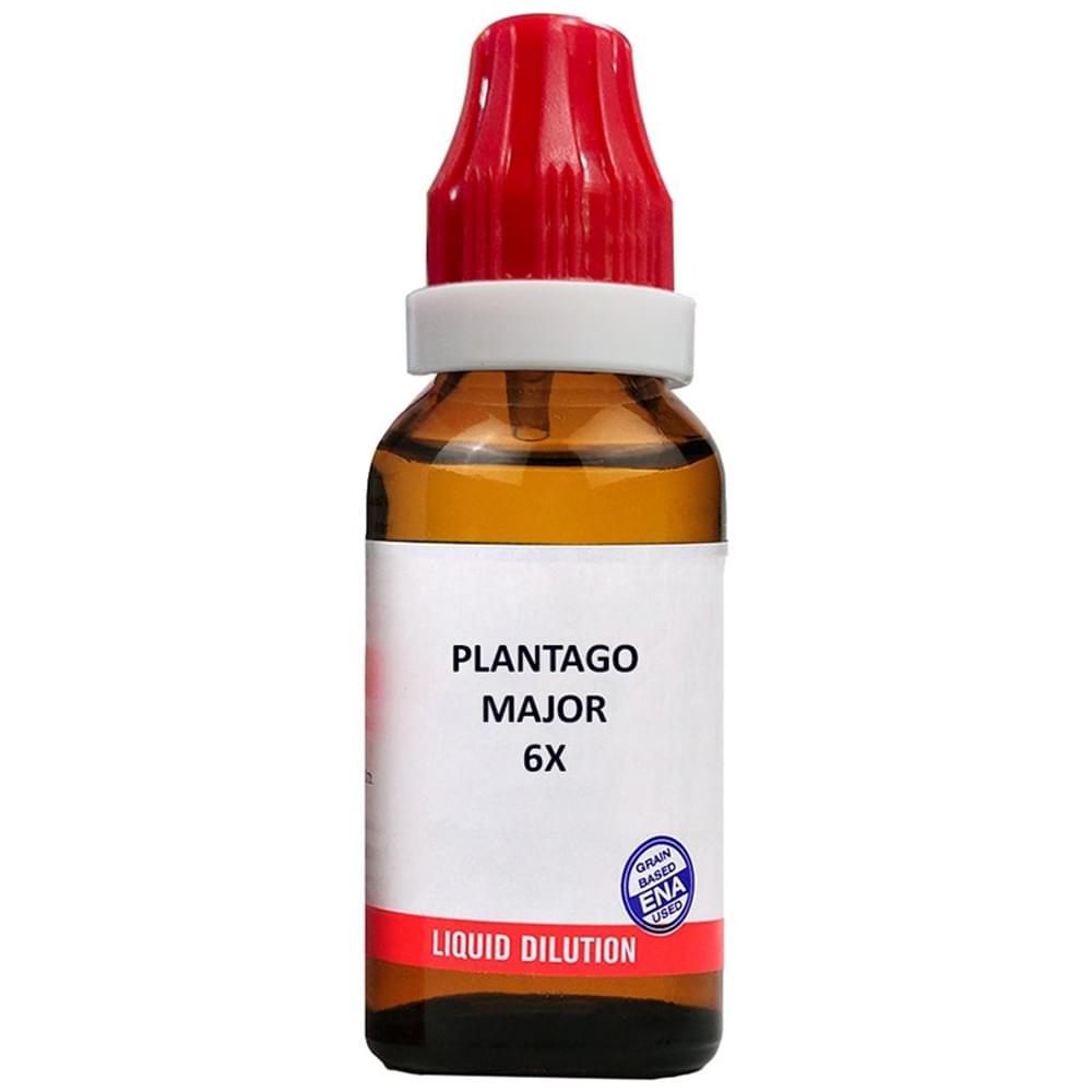 Bjain Plantago Major Dilution 6X bottle of 12 ml Dilution