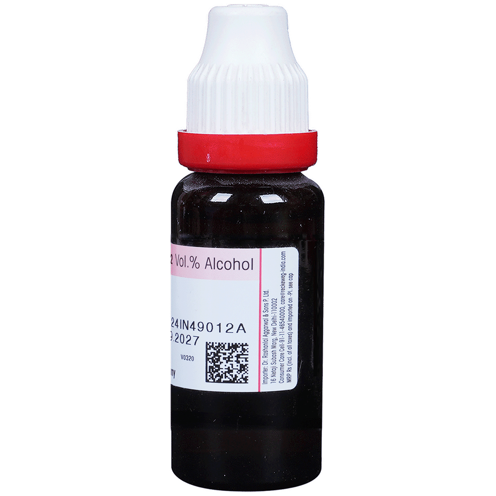 Dr. Reckeweg Sarsaparilla Mother Tincture Q bottle of 20 ml Mother Tincture Dr. Reckeweg Sarsaparilla Mother Tincture Q bottle of 20 ml Mother Tincture