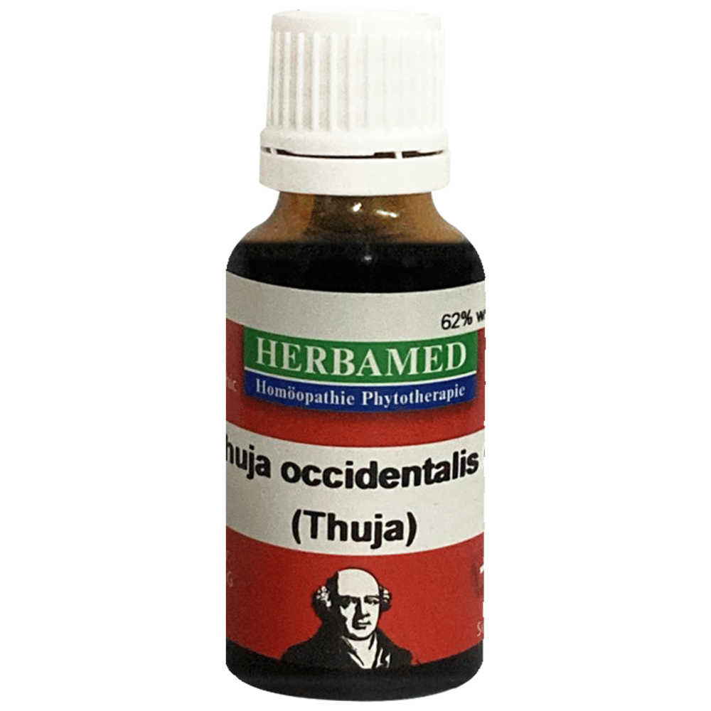 Herbamed Thuja Occidentalis Mother Tincture Q bottle of 20 ml Mother Tincture
