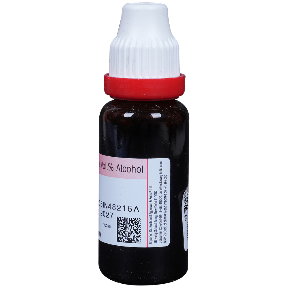 Dr. Reckeweg Fucus Vesic Mother Tincture Q bottle of 20 ml Mother Tincture