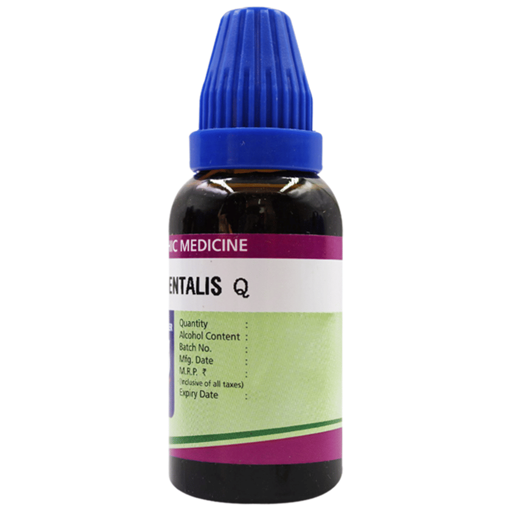 Father Muller Thuja Occidentalis Dilution Q bottle of 30 ml Dilution Father Muller Thuja Occidentalis Dilution Q bottle of 30 ml Dilution