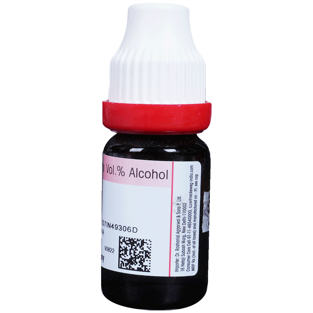Dr. Reckeweg Bryonia Alba Dilution 30 CH bottle of 11 ml Dilution Dr. Reckeweg Bryonia Alba Dilution 30 CH bottle of 11 ml Dilution