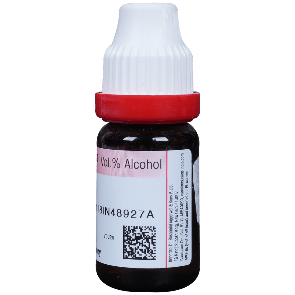 Dr. Reckeweg Berberis Vul Dilution 30 CH bottle of 11 ml Dilution Dr. Reckeweg Berberis Vul Dilution 30 CH bottle of 11 ml Dilution