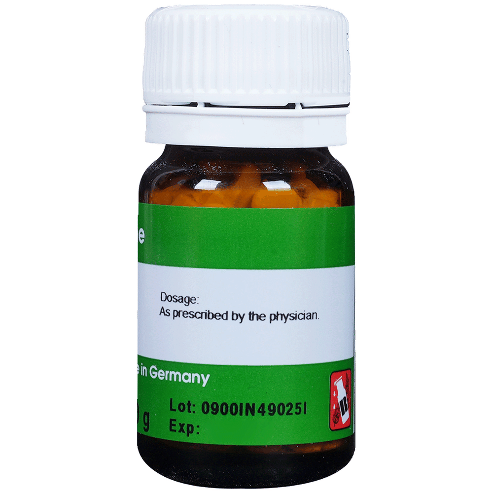 Dr. Reckeweg Insulinum Trituration Tablet 10X bottle of 20 gm Trituration Tablet