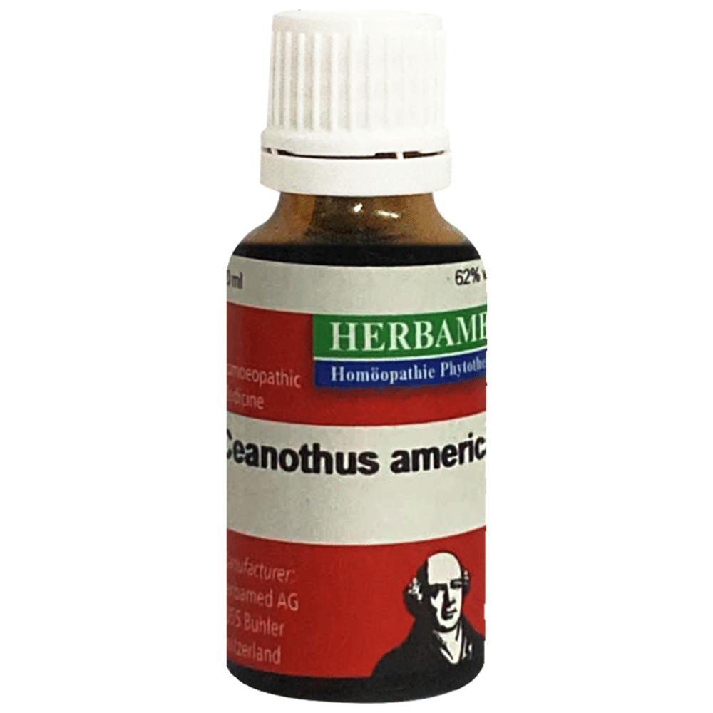 Herbamed Ceanothus Americanus Mother Tincture Q bottle of 20 ml Mother Tincture