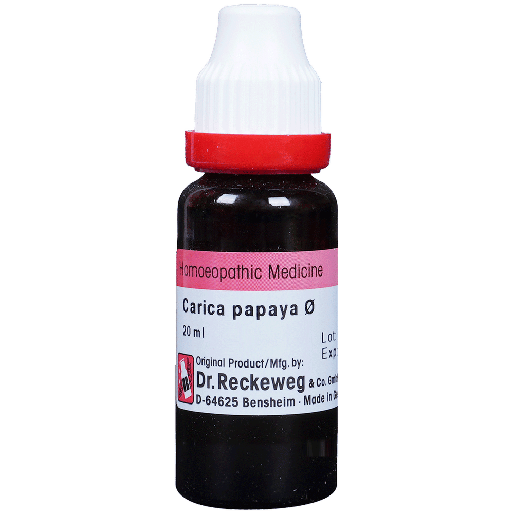 Dr. Reckeweg Carica Papaya Mother Tincture Q | For Liver Care Mother Tincture Q bottle of 20 ml Mother Tincture