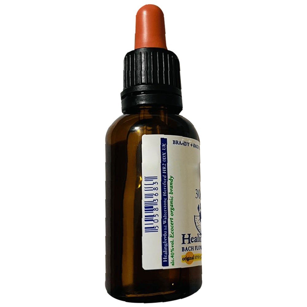 Healing Herbs Bach Flower Larch bottle of 30 ml Liquid