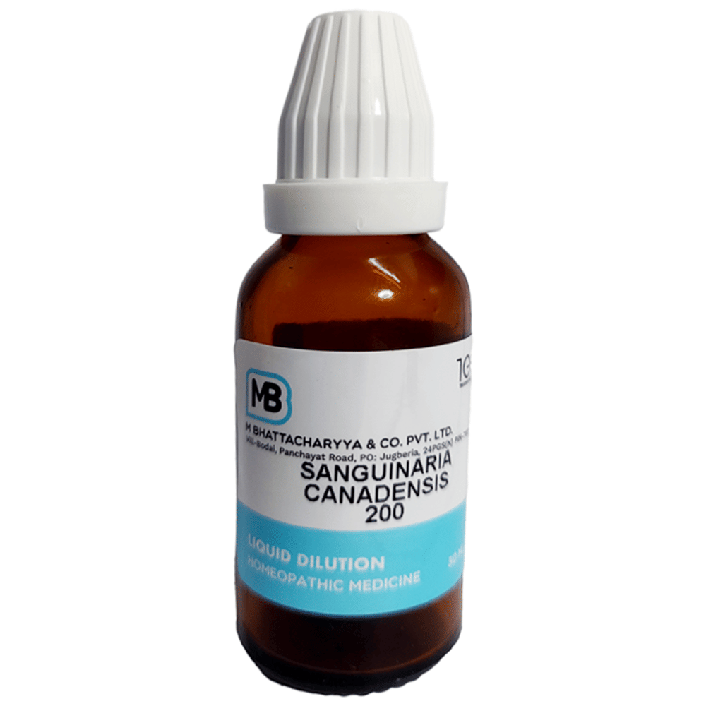 MB Sanguinaria Canadensis Dilution 200 bottle of 30 ml Dilution