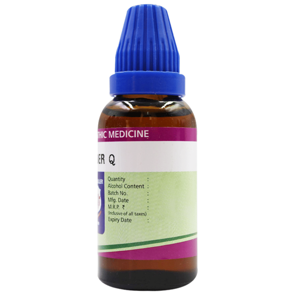 Father Muller  Zingiber Officinale Dilution Q bottle of 30 ml Dilution