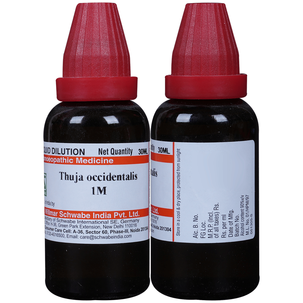 Dr Willmar Schwabe India Thuja Occidentalis Dilution 1000 CH bottle of 30 ml Dilution