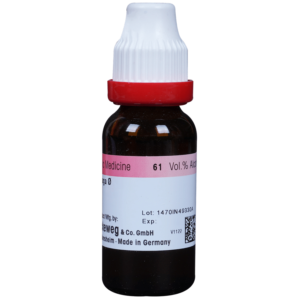 Dr. Reckeweg Ammi Visn Mother Tincture Q bottle of 20 ml Mother Tincture