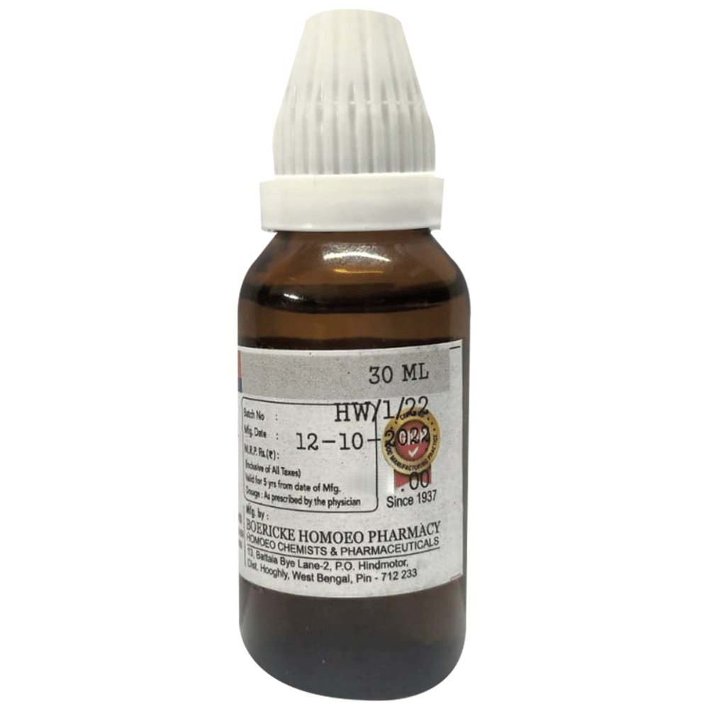 Dr. Majumder Homeo World Arsenicum Album Dilution 12 (30ml Each) combo pack of 3 bottles Dr. Majumder Homeo World Arsenicum Album Dilution 12 (30ml Each) combo pack of 3 bottles