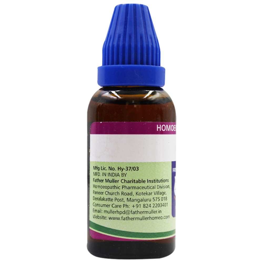 Father Muller  Urtica Urens Dilution Q bottle of 30 ml Dilution