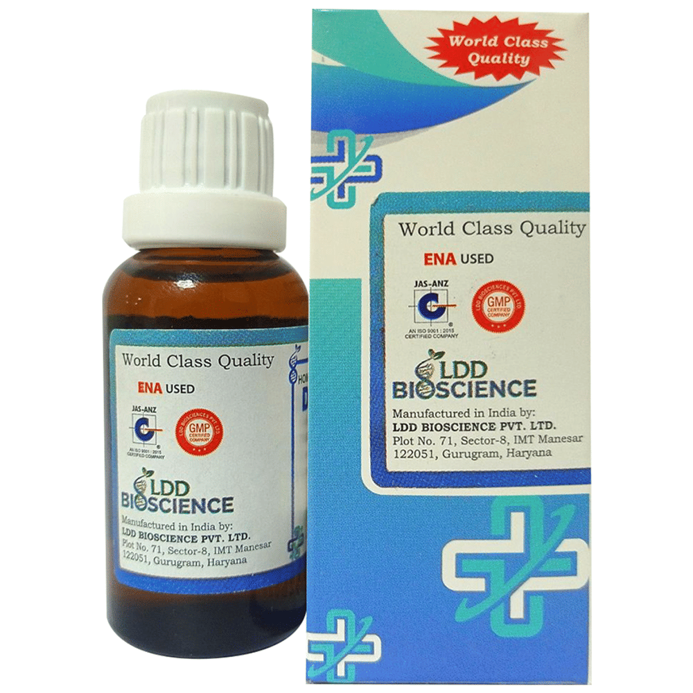 LDD Bioscience Yucca Filamentosa Dilution 1000 CH bottle of 30 ml Dilution