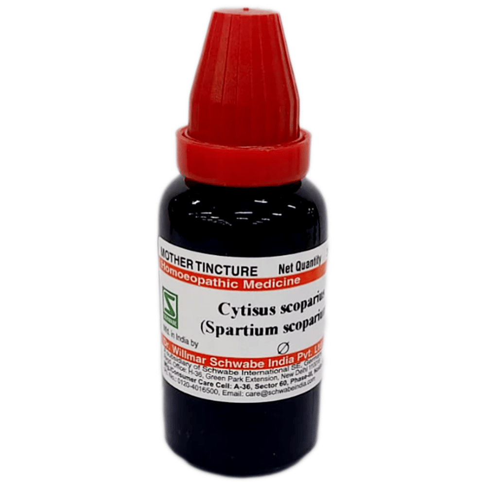 Dr Willmar Schwabe India Spartium Scoparium Mother Tincture Q bottle of 30 ml Mother Tincture Dr Willmar Schwabe India Spartium Scoparium Mother Tincture Q bottle of 30 ml Mother Tincture