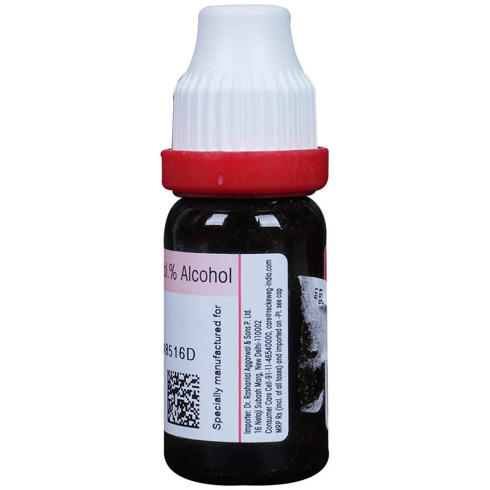 Dr. Reckeweg Wiesbaden Dilution 200 CH bottle of 11 ml Dilution