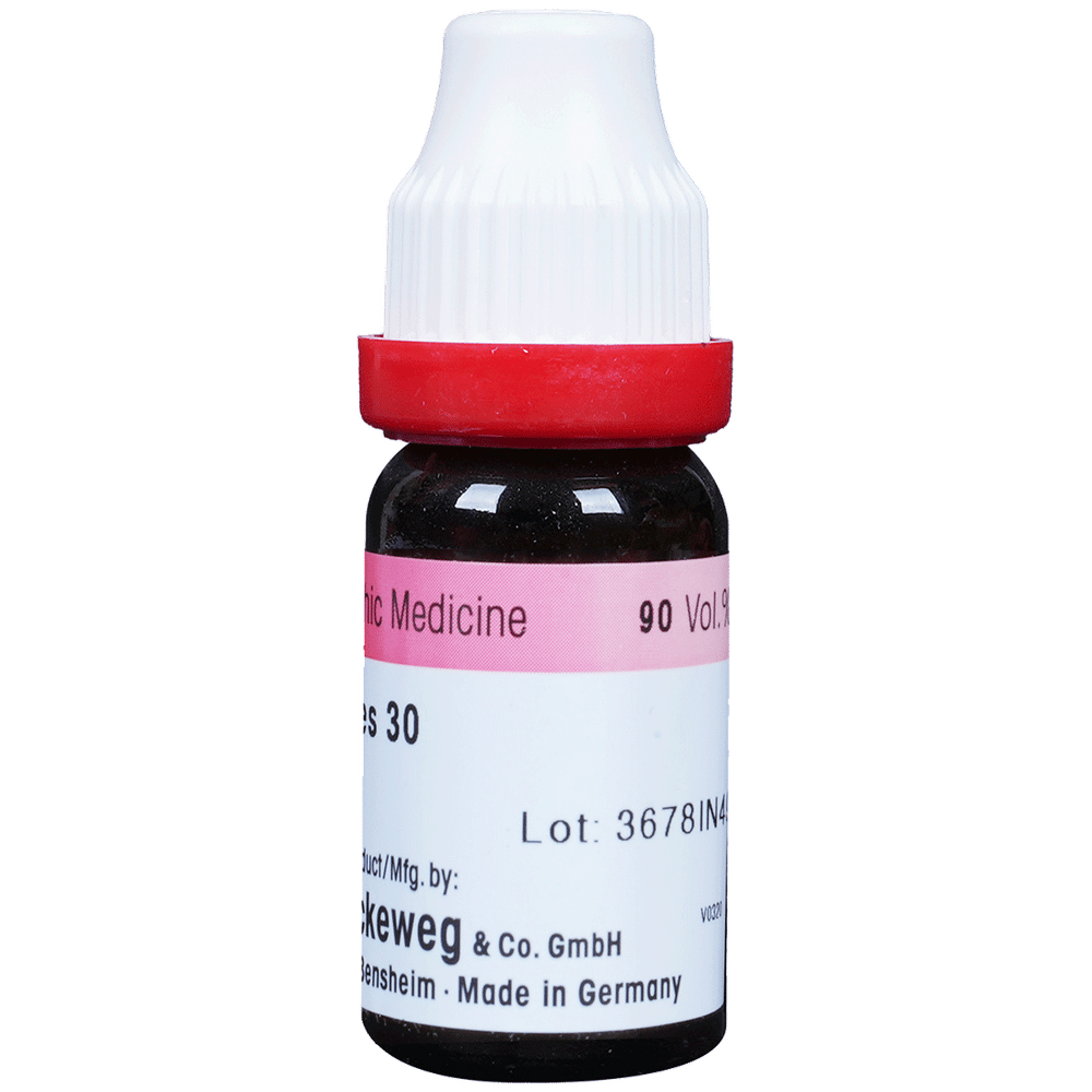 Dr. Reckeweg Graphites Dilution 30 CH bottle of 11 ml Dilution Dr. Reckeweg Graphites Dilution 30 CH bottle of 11 ml Dilution