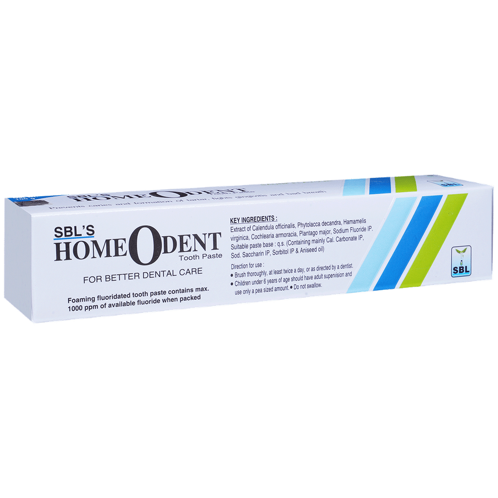SBL Homeodent Saunf Toothpaste tube of 100 gm Toothpaste