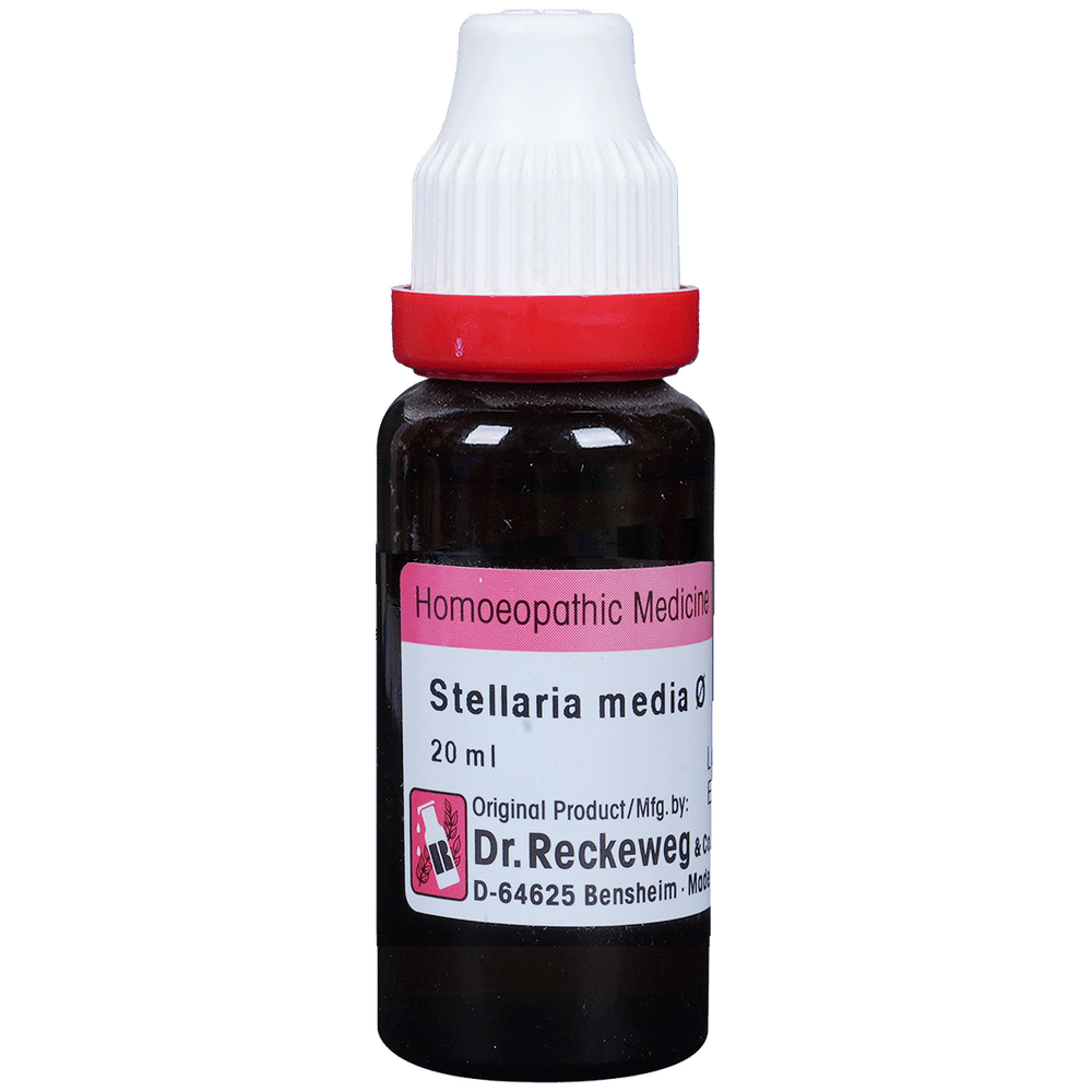 Dr. Reckeweg Stellaria Media Mother Tincture Q bottle of 20 ml Mother Tincture