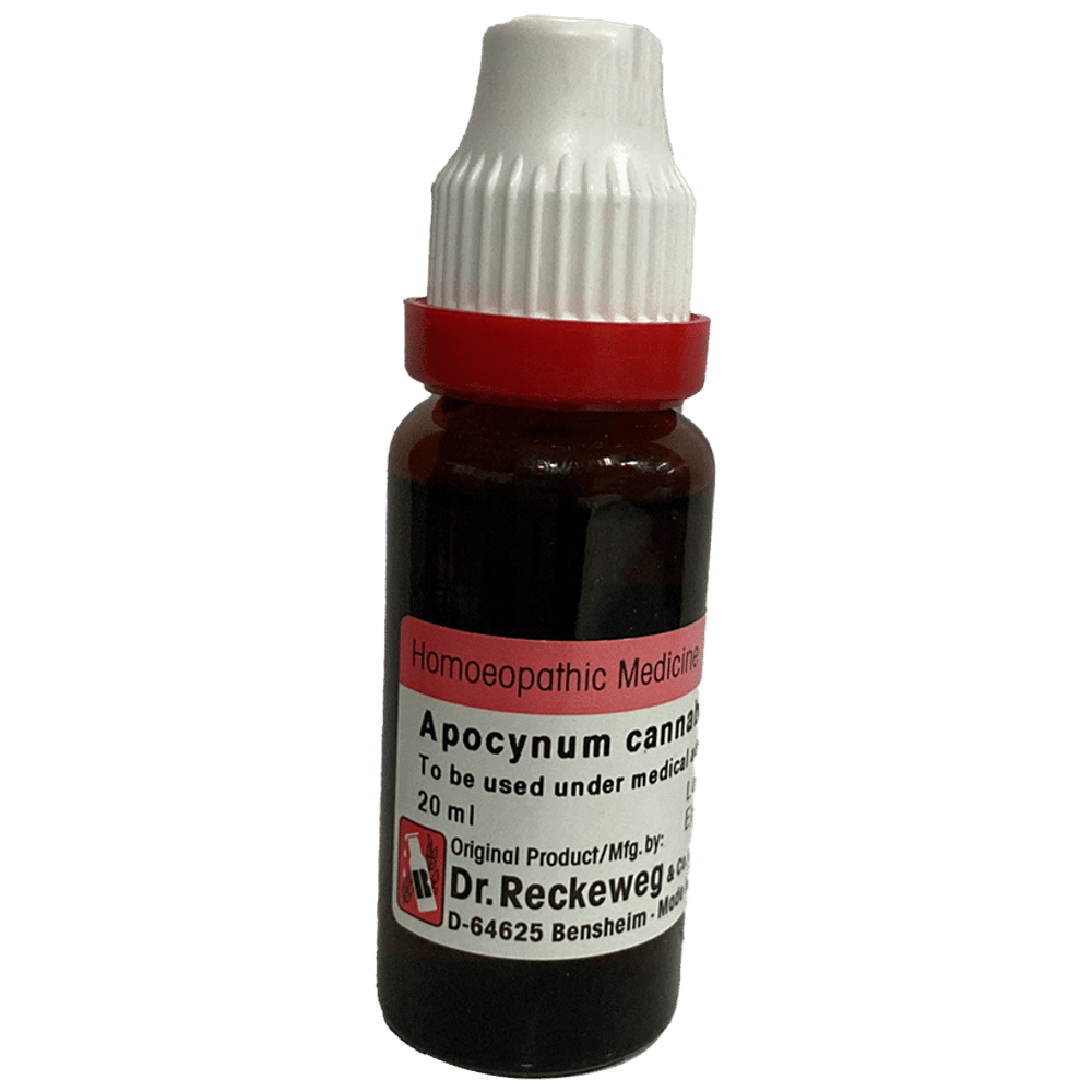 Dr. Reckeweg Apocynum Can Mother Tincture Q bottle of 20 ml Mother Tincture