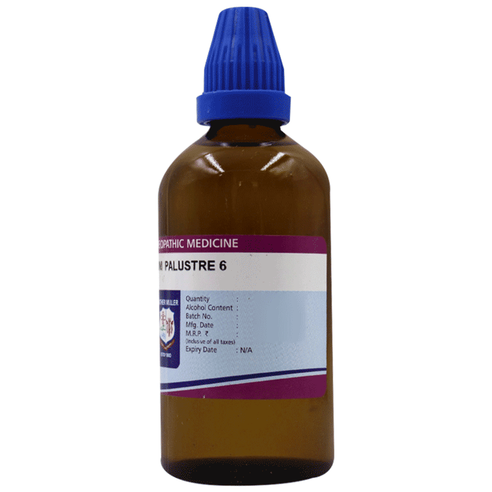 Father Muller Ledum Palustre 6C Drop bottle of 100 ml Drop