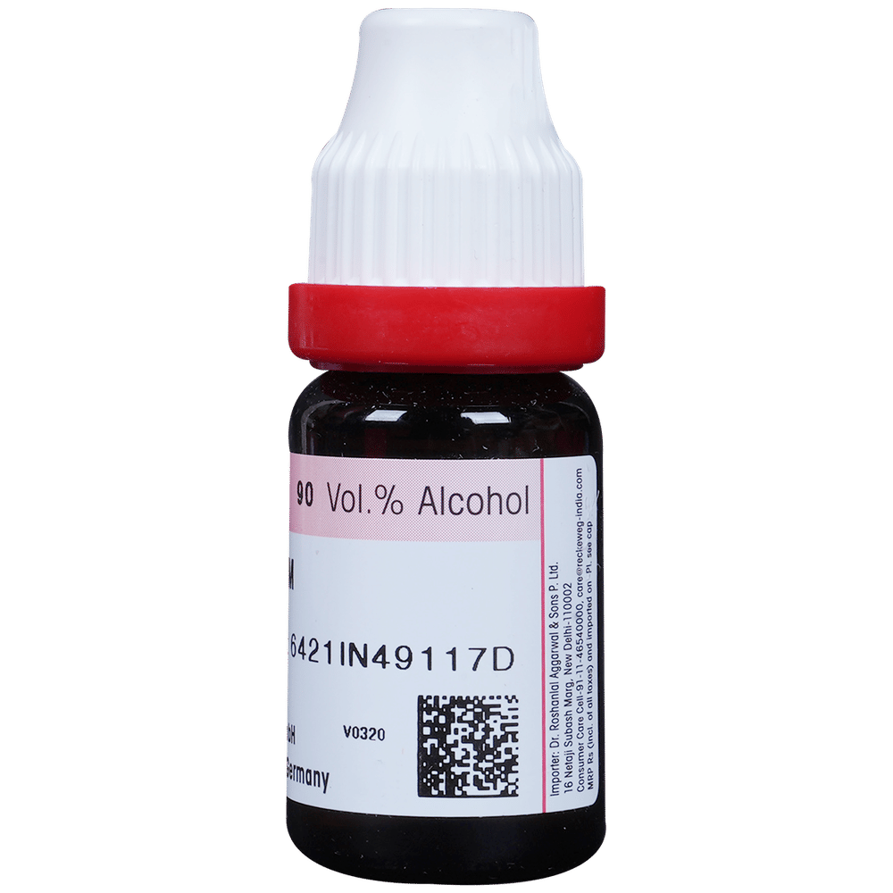 Dr. Reckeweg Thuja Occ Dilution 1000 CH bottle of 11 ml Dilution