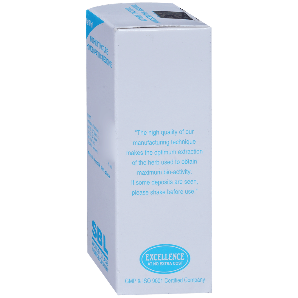 SBL Agnus Castus Mother Tincture Q bottle of 30 ml Mother Tincture