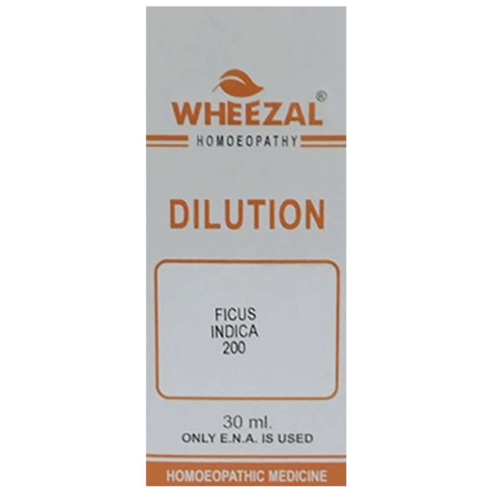 Wheezal Ficus Indica Dilution 200 bottle of 30 ml Dilution