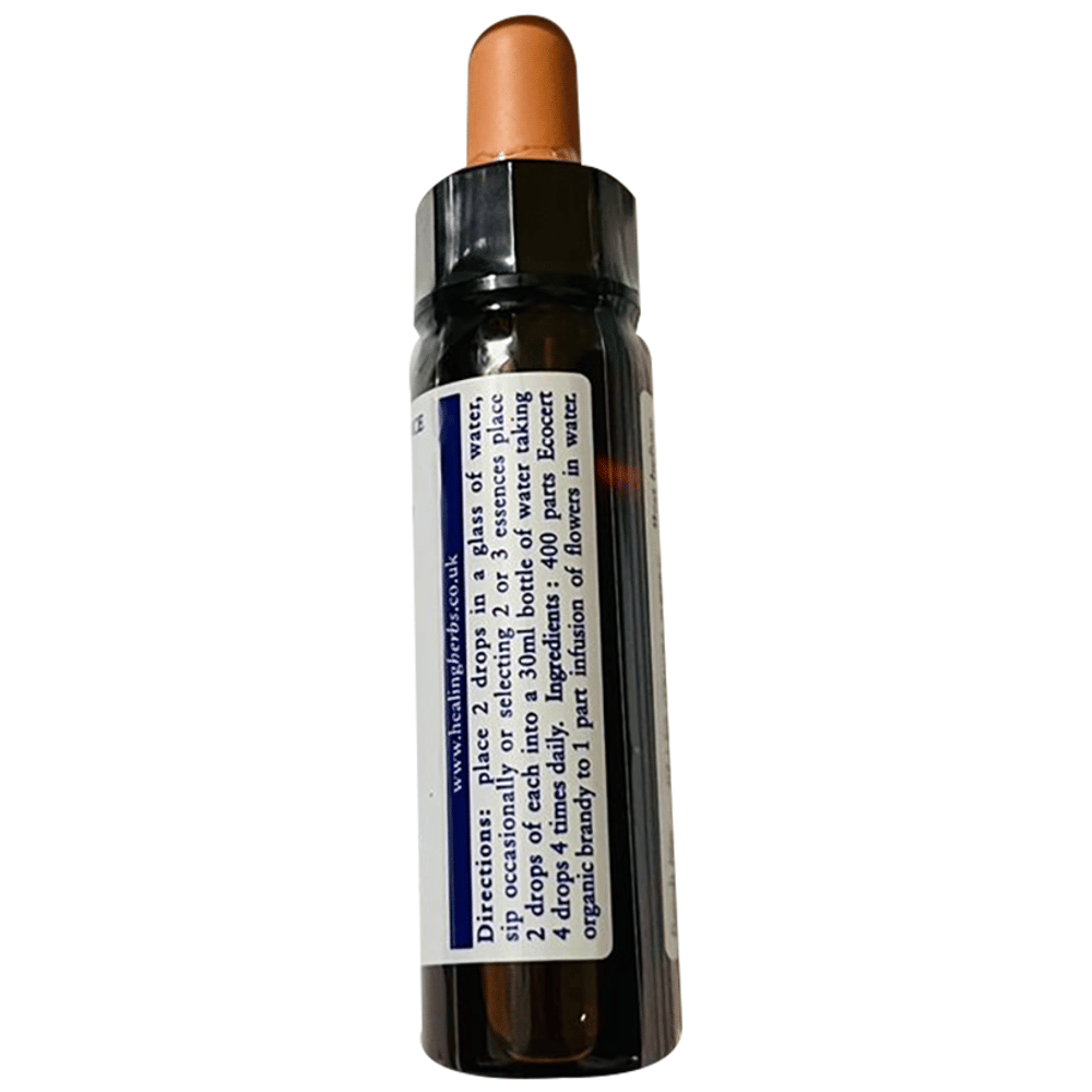 Healing Herbs Bach Flower Clematis bottle of 10 ml Liquid