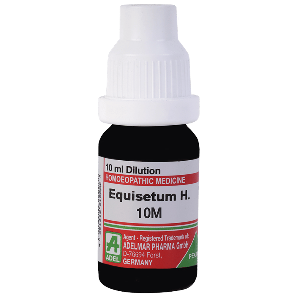 ADEL Equisetum H Dilution 10M bottle of 10 ml Dilution ADEL Equisetum H Dilution 10M bottle of 10 ml Dilution
