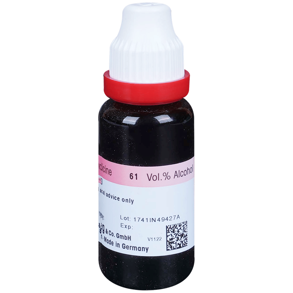 Dr. Reckeweg Arnica Mont Mother Tincture Q bottle of 20 ml Mother Tincture Dr. Reckeweg Arnica Mont Mother Tincture Q bottle of 20 ml Mother Tincture
