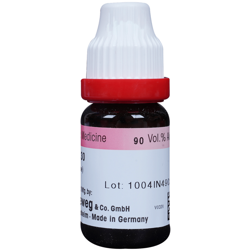 Dr. Reckeweg Aalserum Dilution 30 CH bottle of 11 ml Dilution