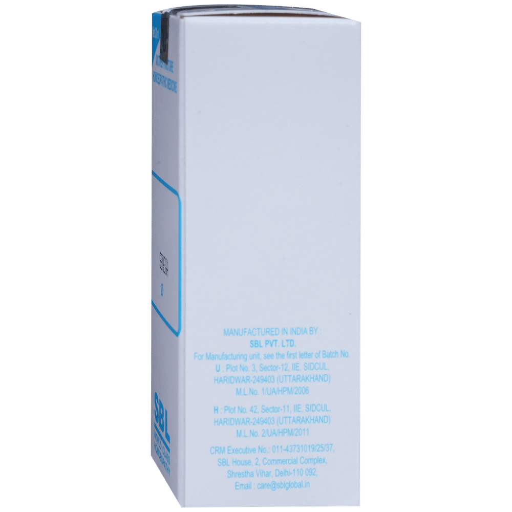 SBL Senega Mother Tincture Q bottle of 30 ml Mother Tincture