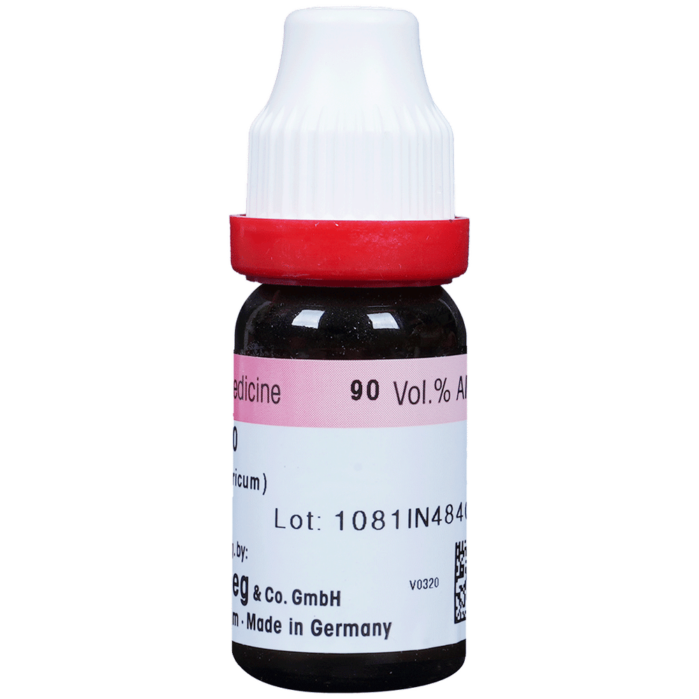 Dr. Reckeweg Acid Fluor Dilution 30 CH bottle of 11 ml Dilution Dr. Reckeweg Acid Fluor Dilution 30 CH bottle of 11 ml Dilution